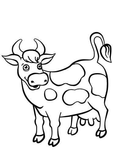 This animal gives people dairy products and meat. - Razukraski.com