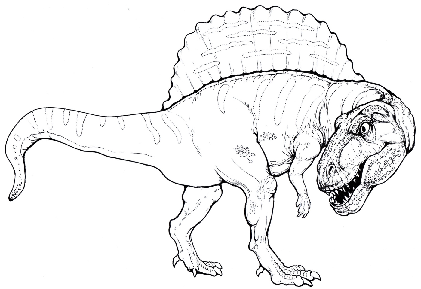 Desenhos para colorir dinossauros para imprimir e descarregar.