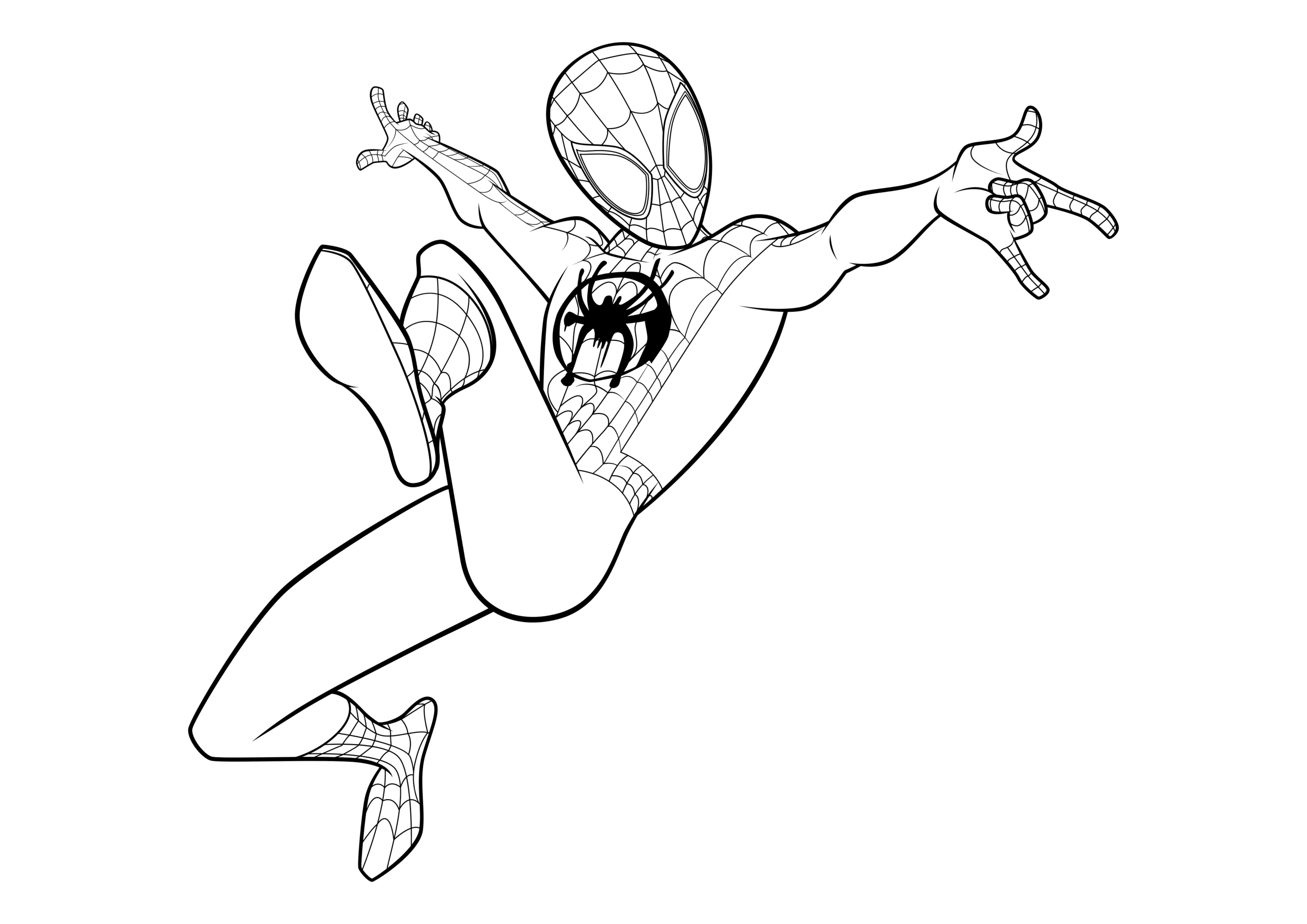 Spiderman Coloriage – Imprimer gratuitement.