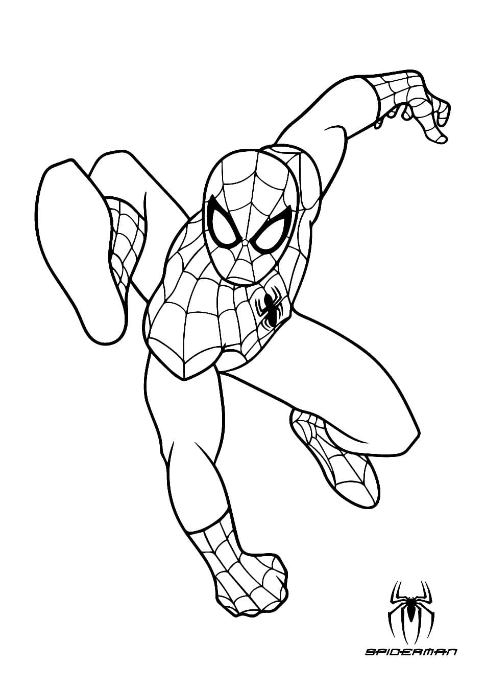 Spider Man Coloring Pages – Print for free.   Razukraski.com