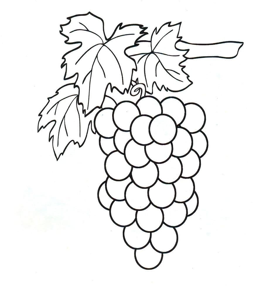 Coloring Pages berries and fruits for children. Print for free.