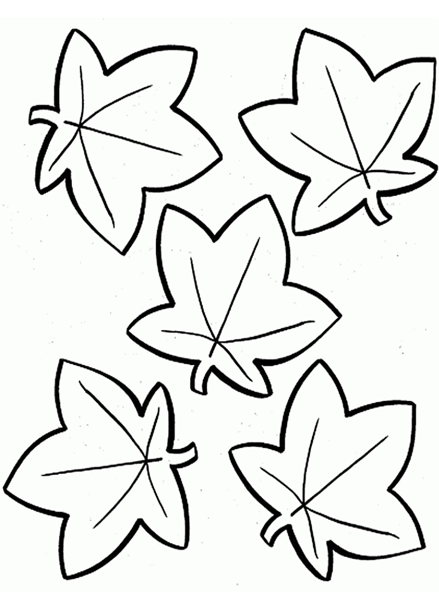 Folhas Desenhos Para Colorir - Imprimir