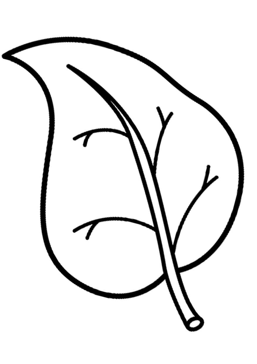 Ausmalbilder Blätter - Ausdrucken