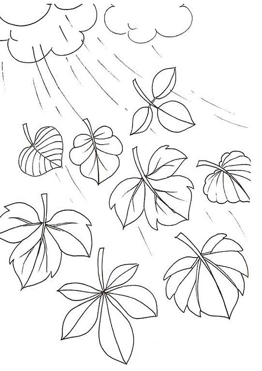 Folhas Desenhos Para Colorir - Imprimir