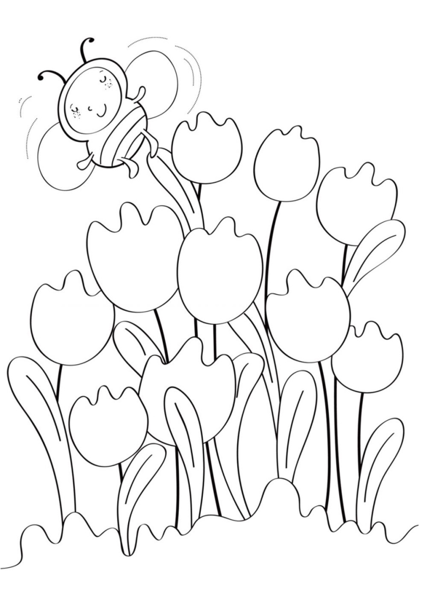 Spring Coloring Pages Print For Free