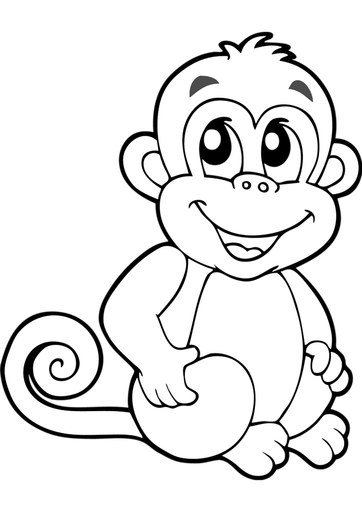 Macaco sorridente