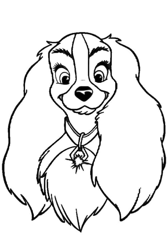 Beautiful little dog from Scooby-doo