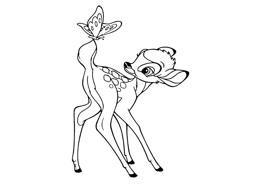 Fawn and butterfly