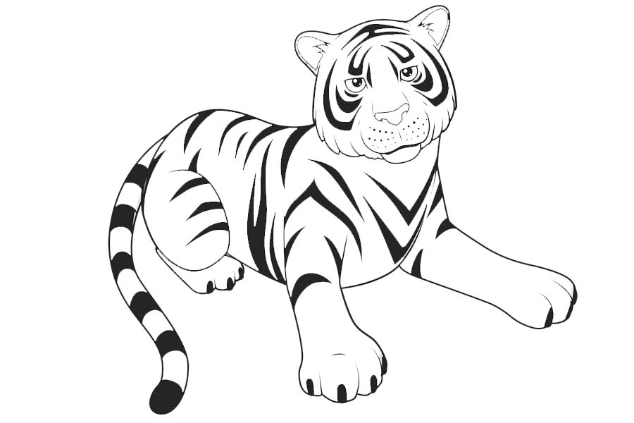 Serious tiger