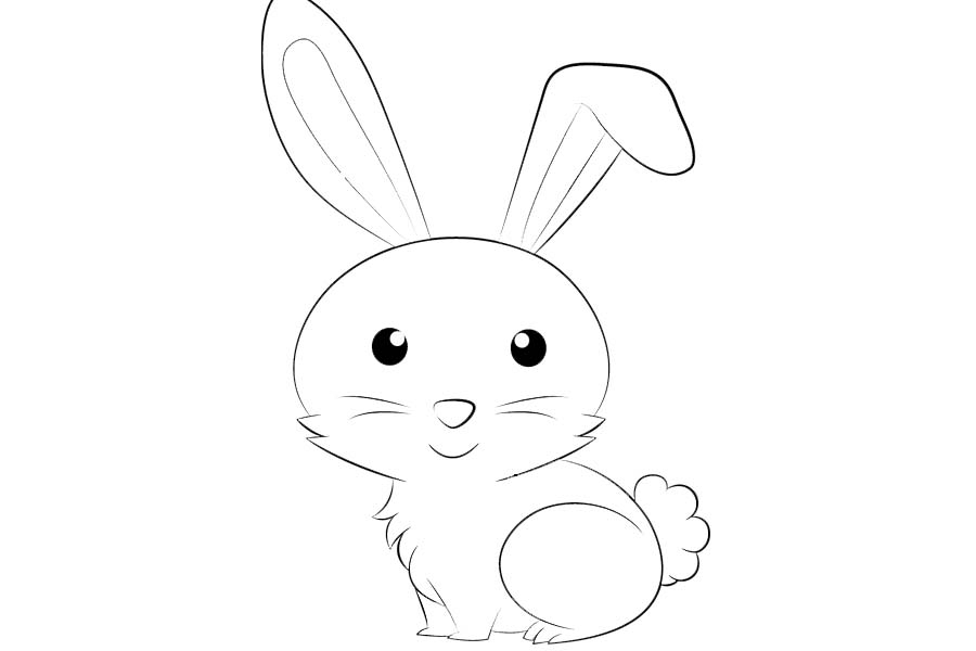 Cute bunny baby