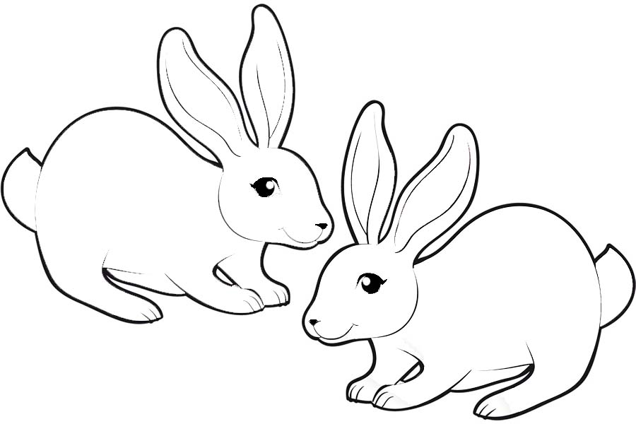 Ruhige Kaninchen