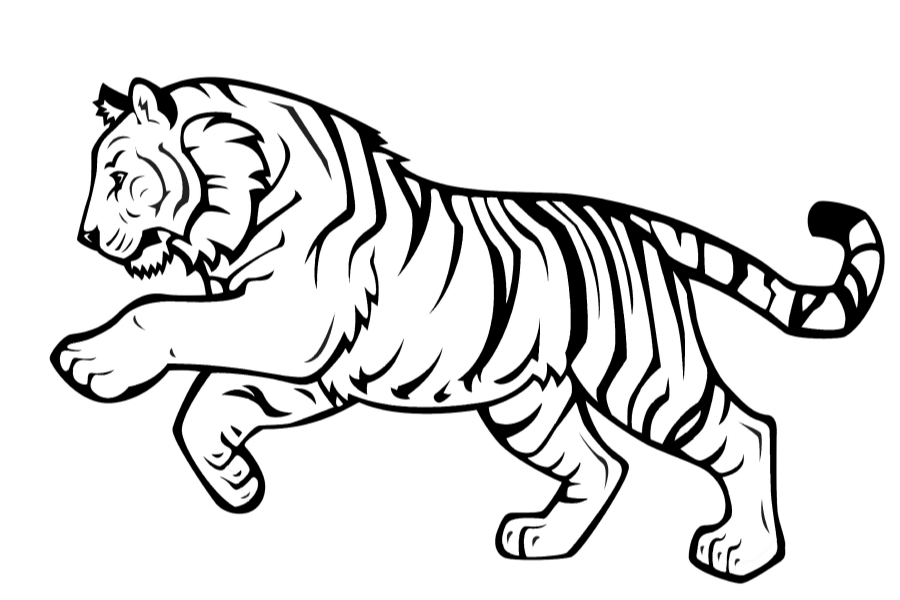 Jump the tiger