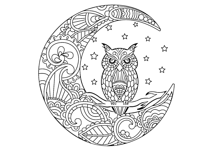 Owl sitting on the moon-anti-stress