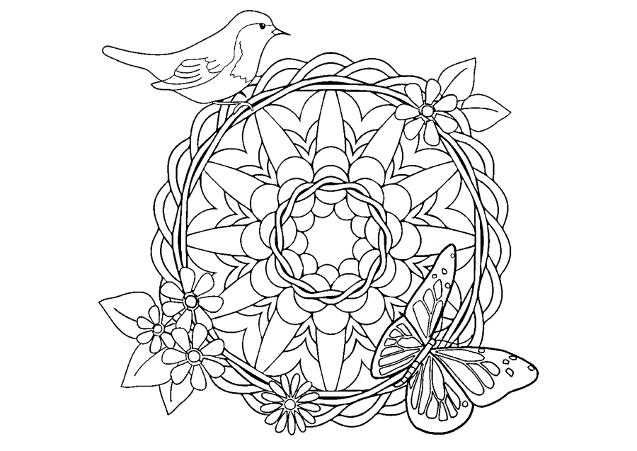 Bird, Butterfly and pattern-anti-stress coloring book