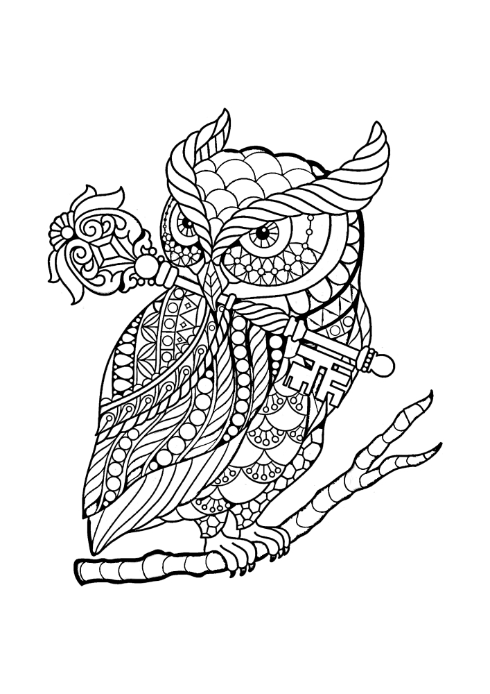 Fairy Owl-anti-stress