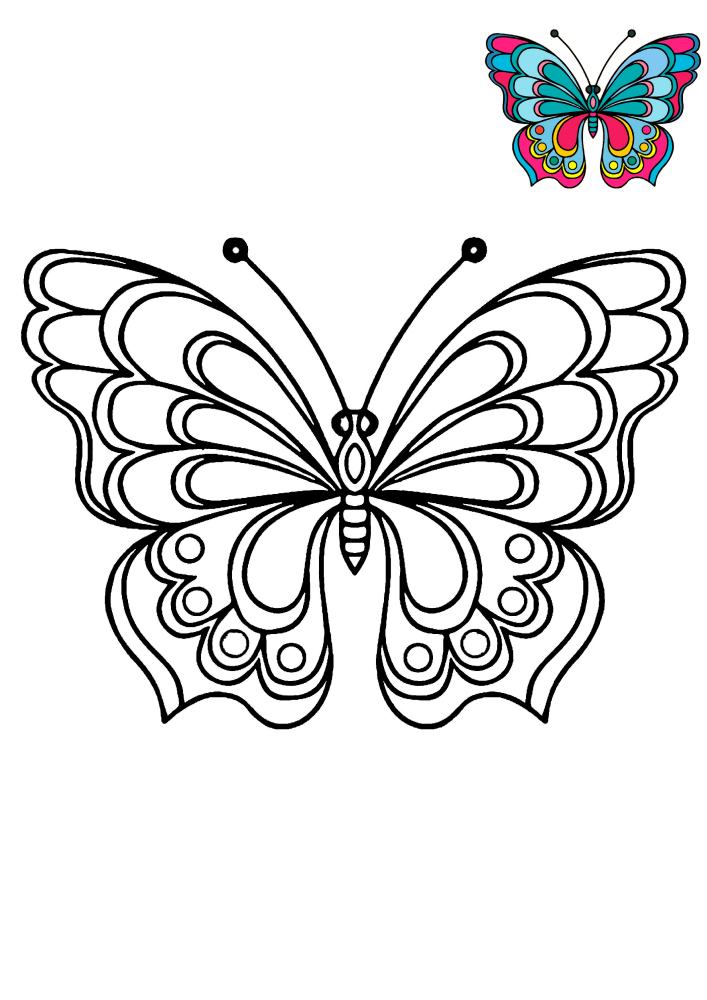 Malbuch Schmetterling auf Blume