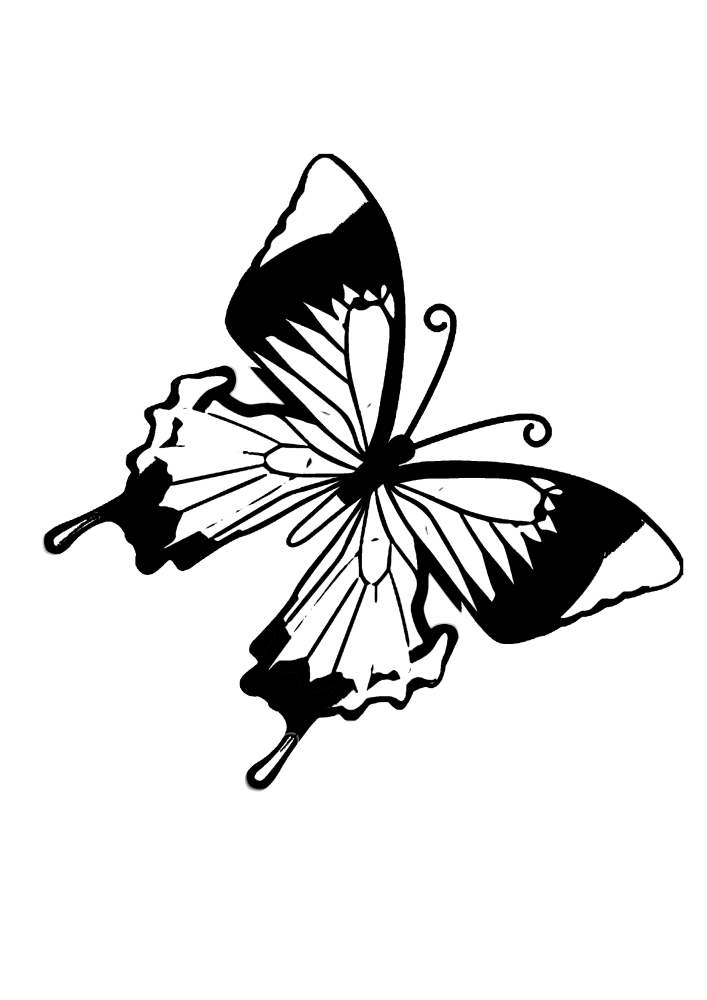 Image en noir et blanc de papillons et de plantes.