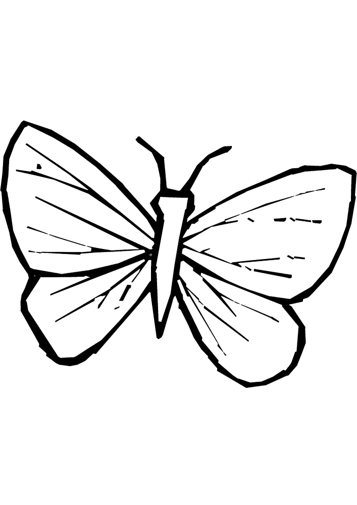 Раскраска бабочки для ребёнка 3 лет