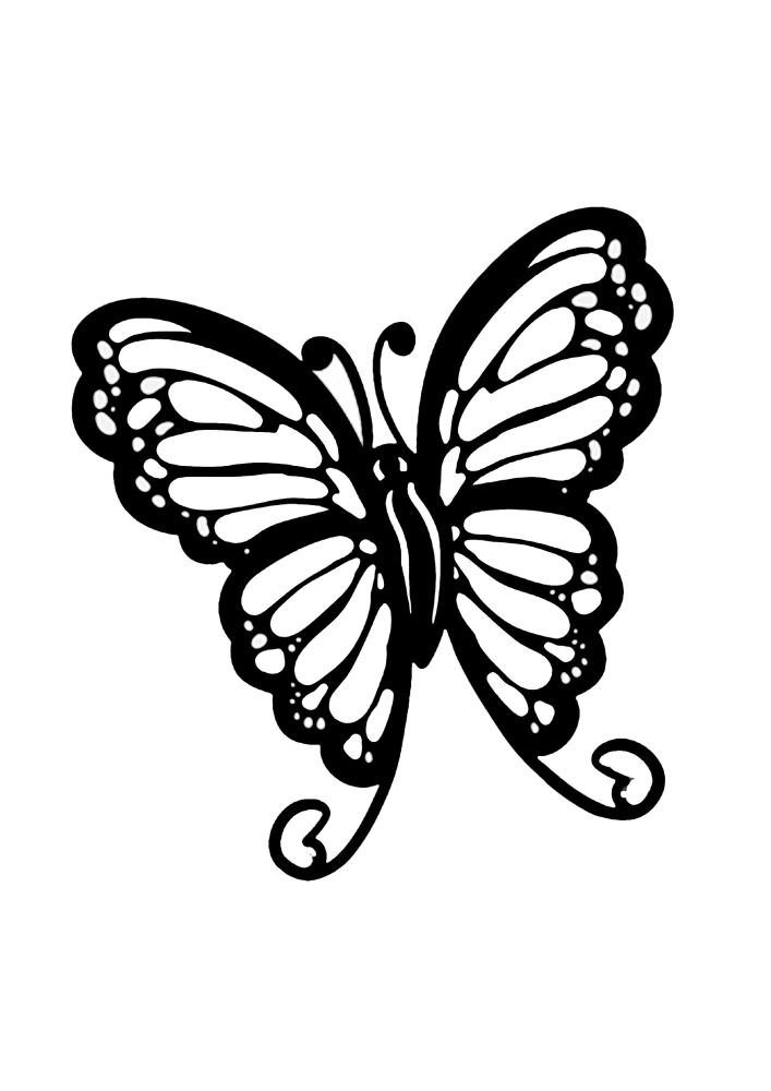 Schmetterling mit eleganten Flügeln.