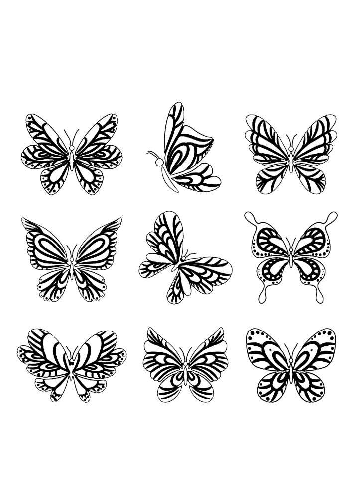 Девять различных бабочек.