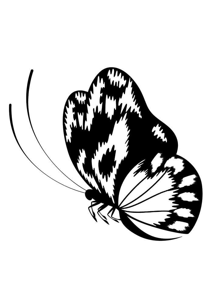 Butterfly coloring book with patterns