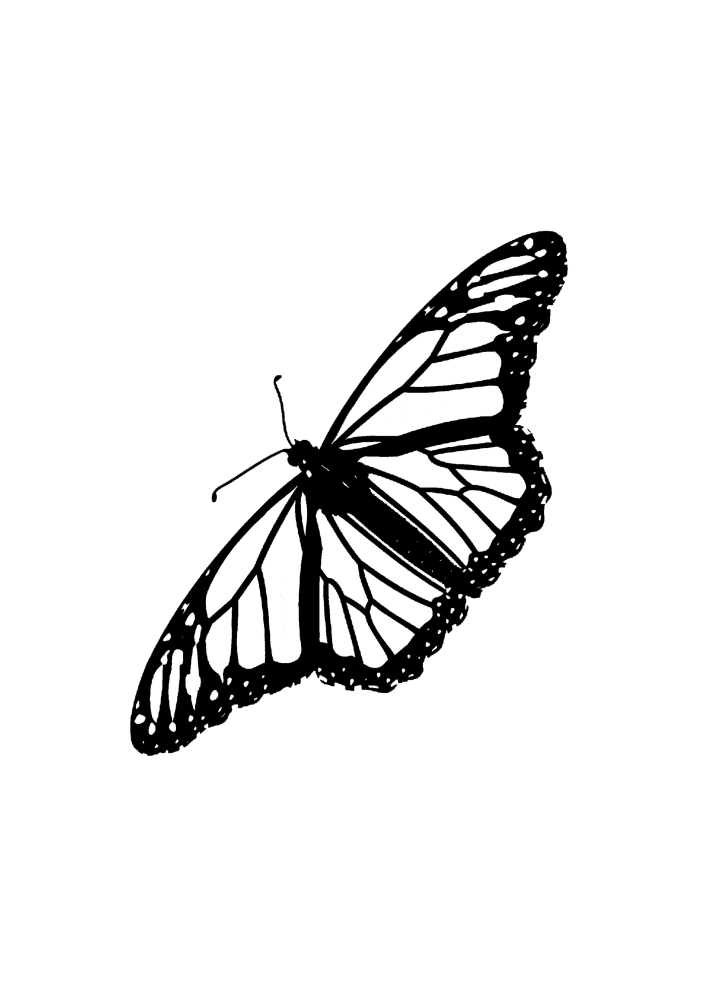 Butterfly Coloring Book for kids