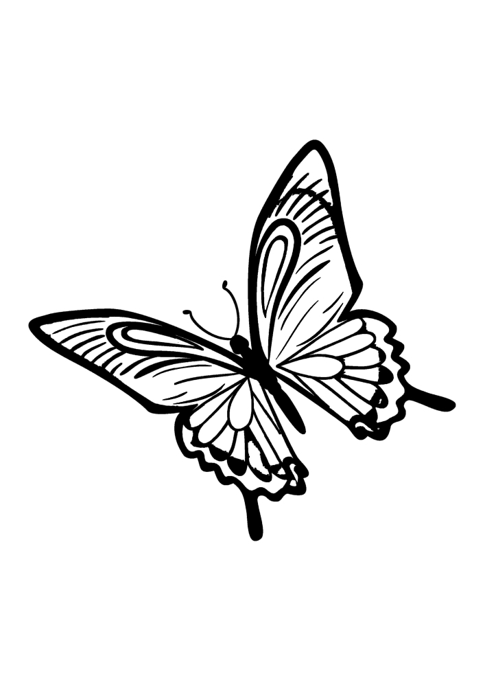 Шесть разных бабочек - можно проявить фантазию и дать им любые цвета.