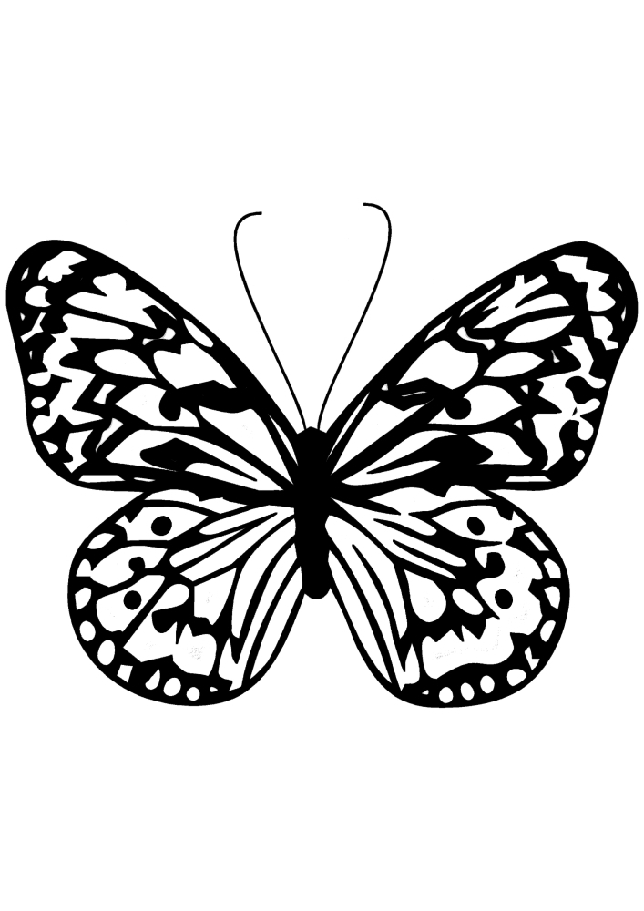 Бабочка - чёрно-белое изображение для детей 4 лет.
