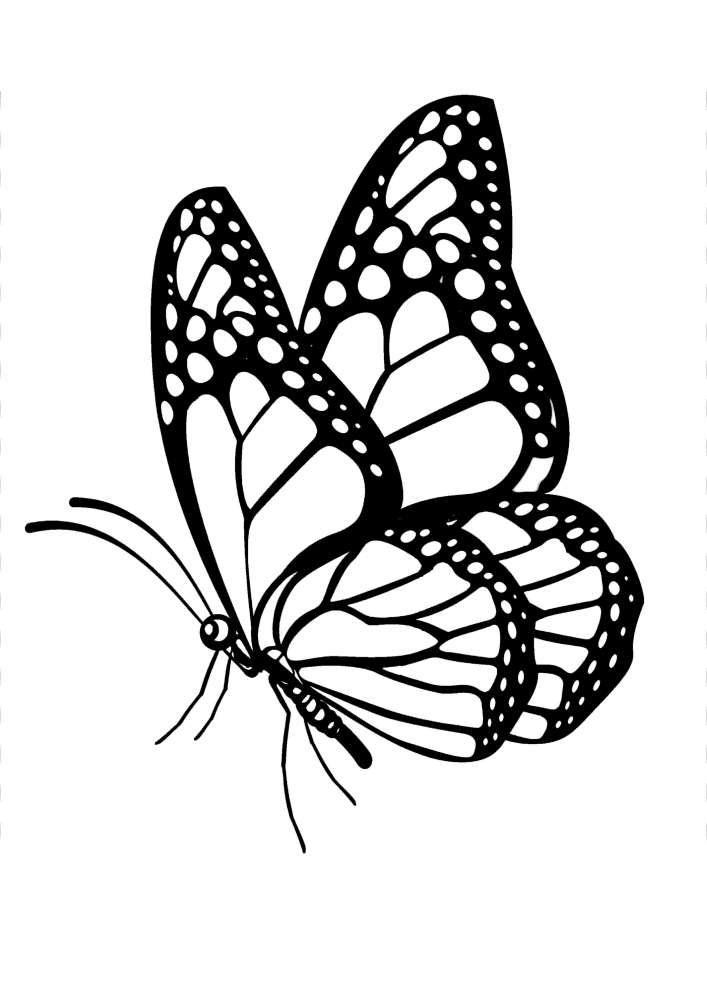 Butterfly - black and white image for children 4 years old.