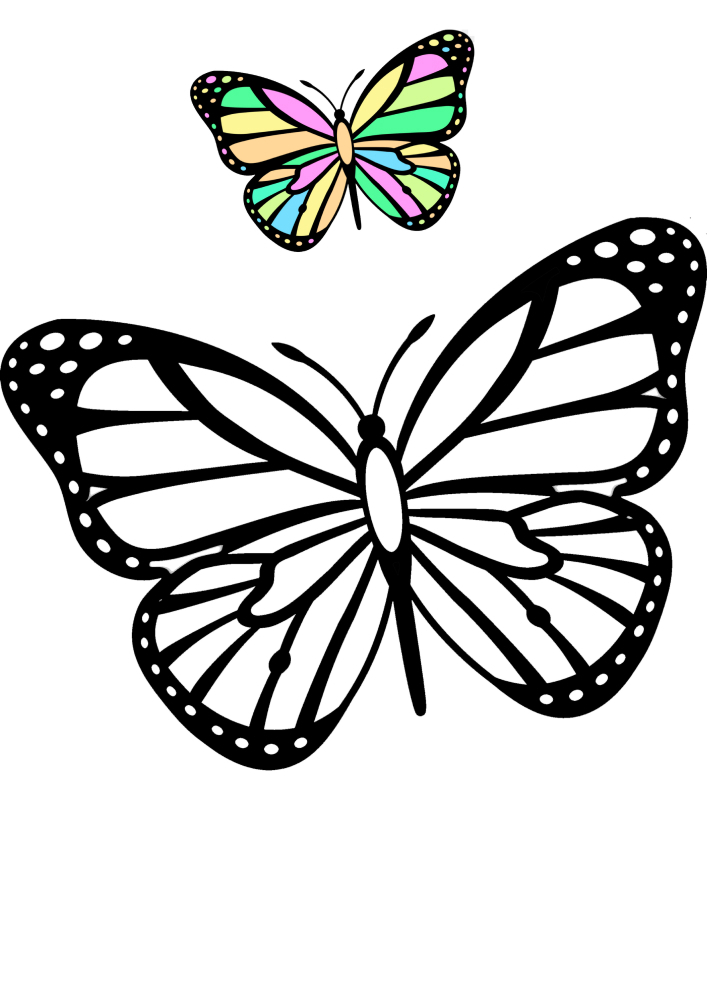 Muchas mariposas para colorear