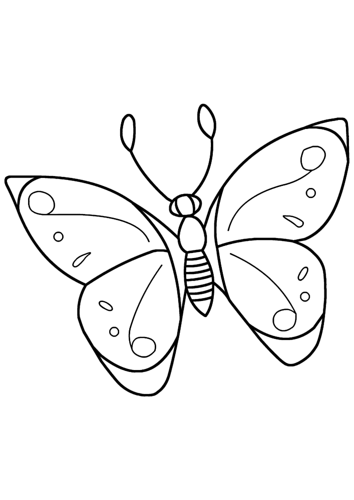 Coloring of a butterfly on a flower