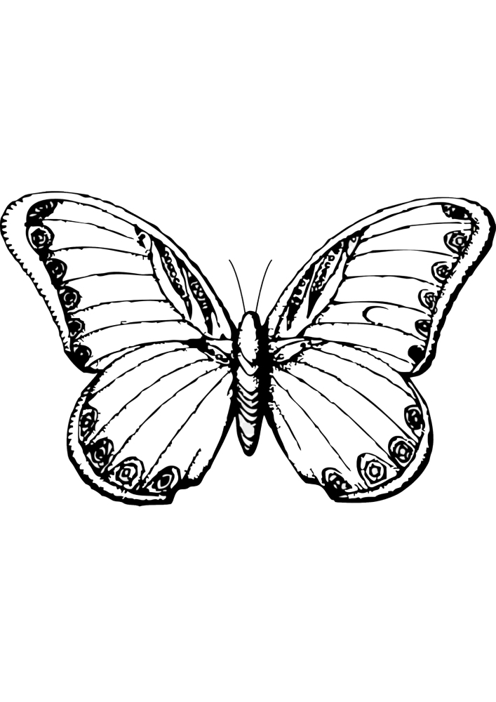 Realistic butterfly design.