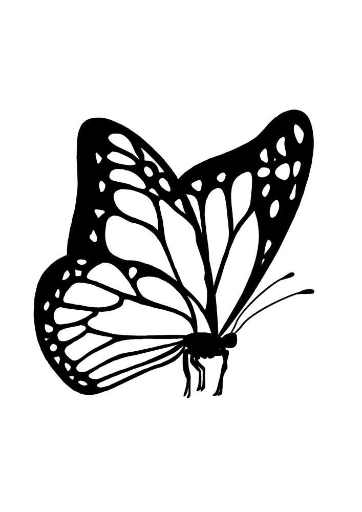 Complicado en el dibujo de la mariposa.