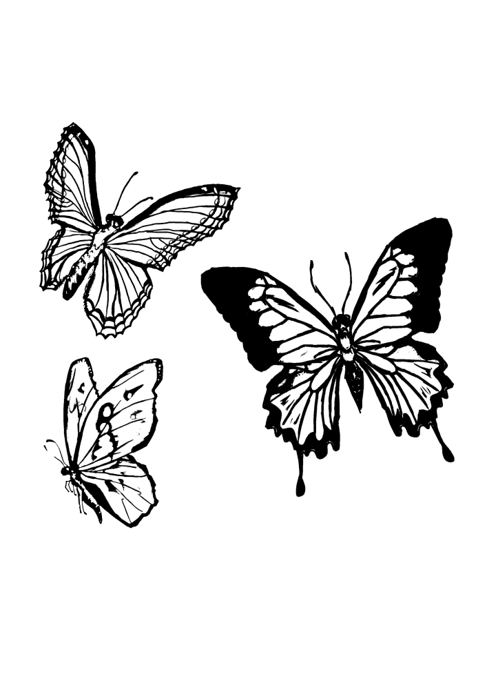Borboleta-Imagem em preto e branco para crianças de 4 anos.
