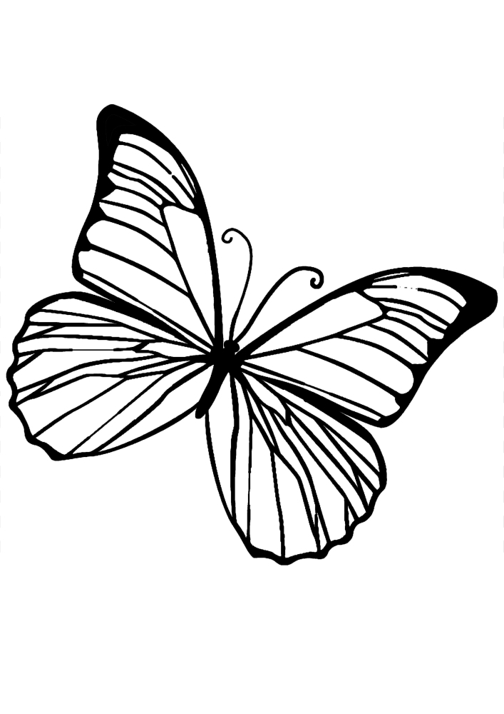 Schmetterling Malbuch für Mädchen