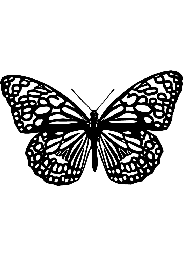 Детализированная бабочка.