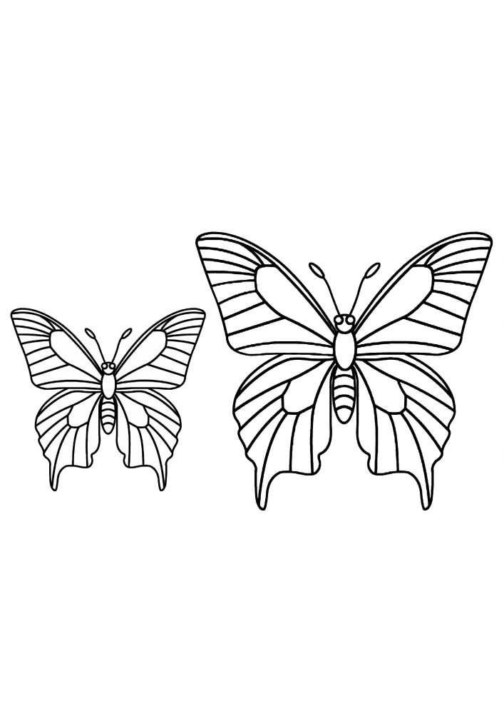 Two butterflies.