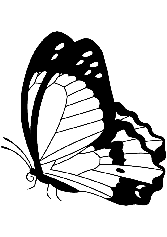 Mariposa en blanco y negro