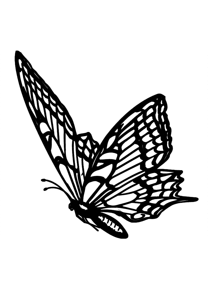 Ein Schmetterling aus dem wirklichen Leben ist ein Schwarz-Weiß-Bild.