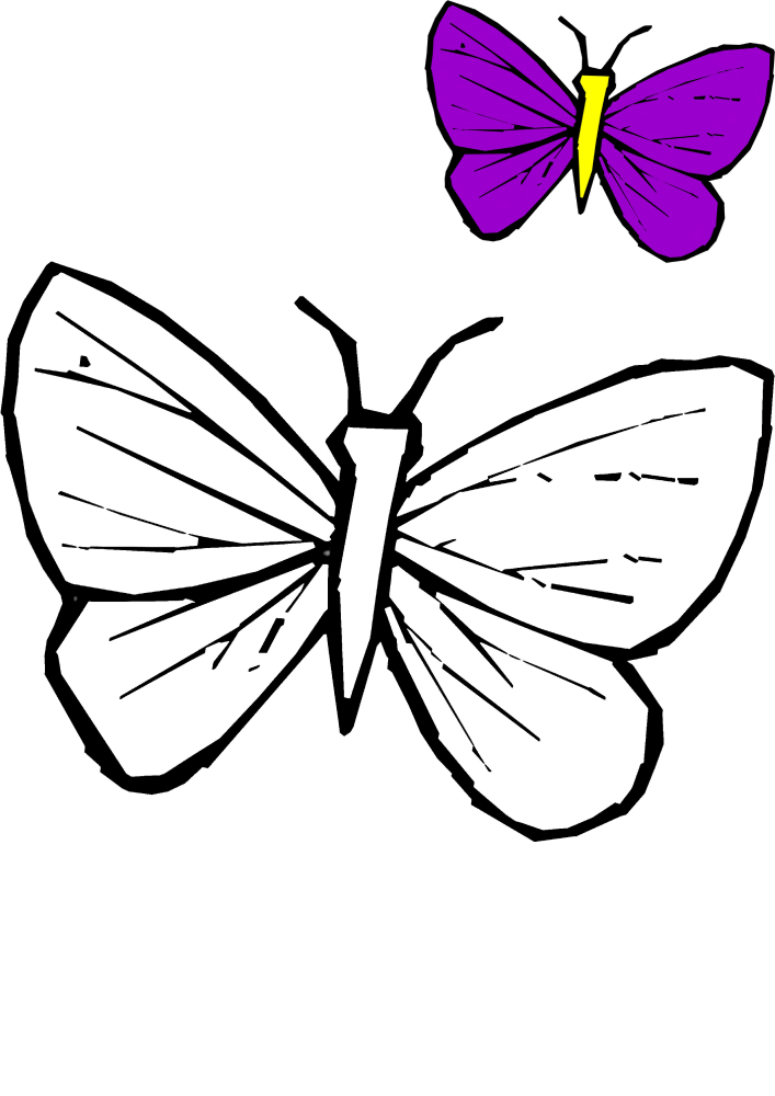 Mariposa sentada en una flor - colorear