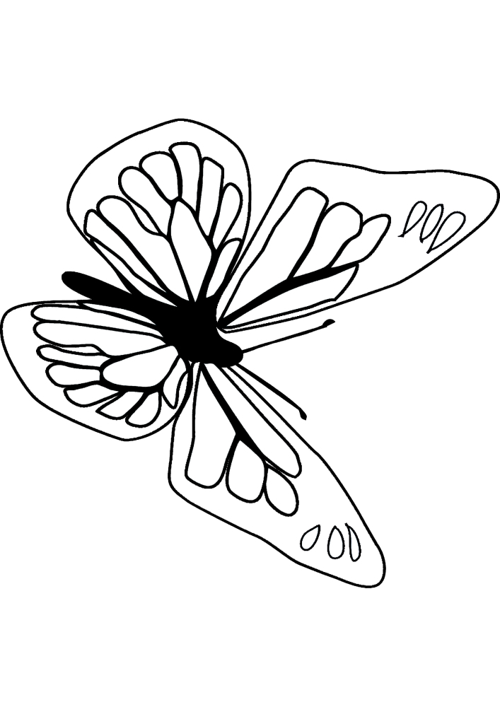 Раскраска бабочки для детей 4 лет.