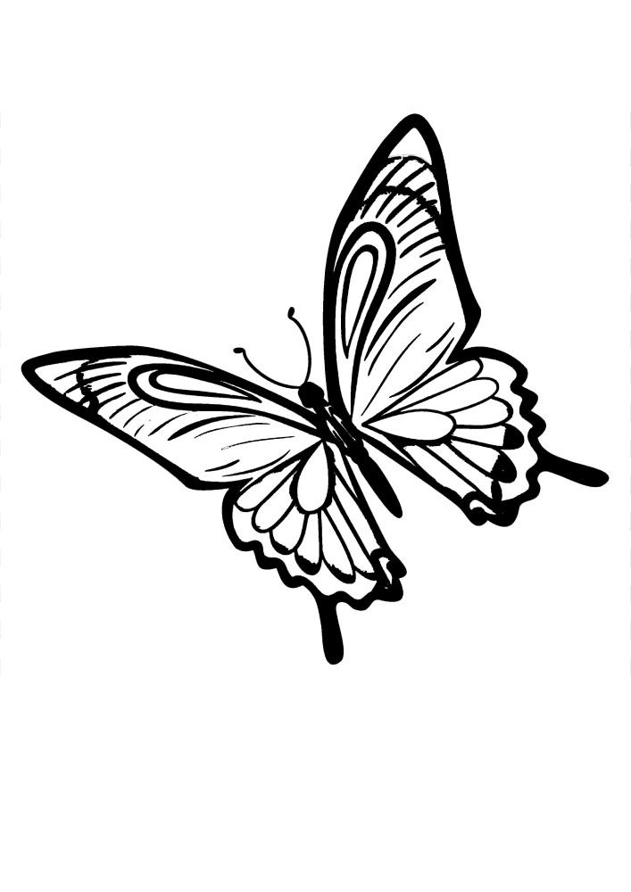 Бабочка - чёрно-белое изображение для детей 4 лет.