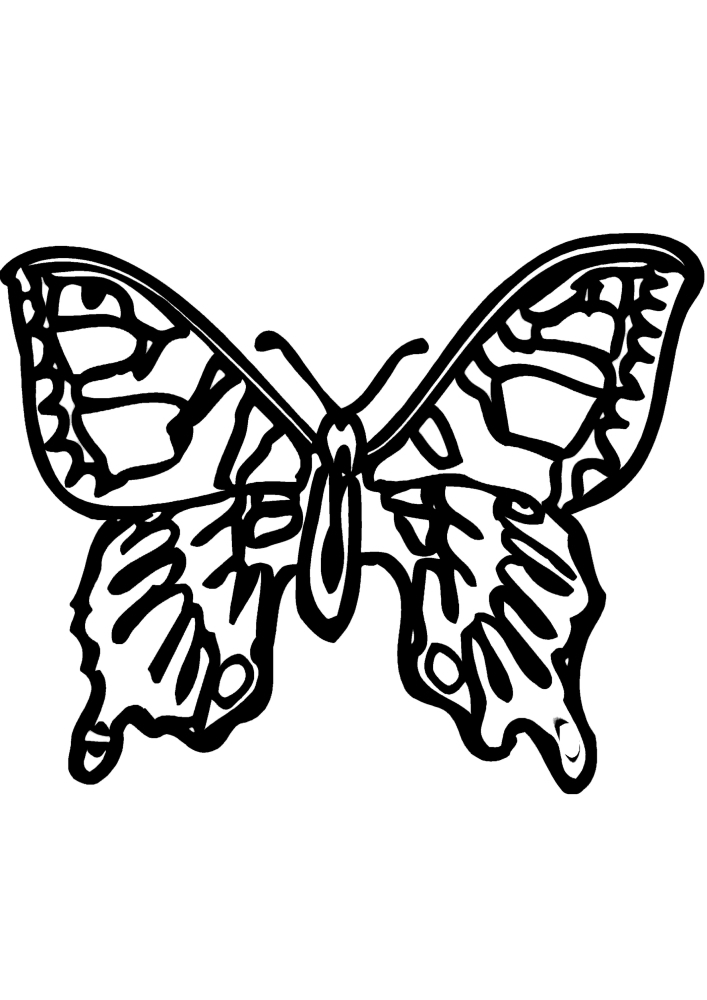 Un papillon complexe dans le dessin.