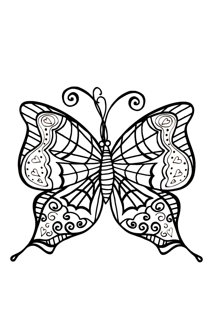 Mariposa con alas elegantes.