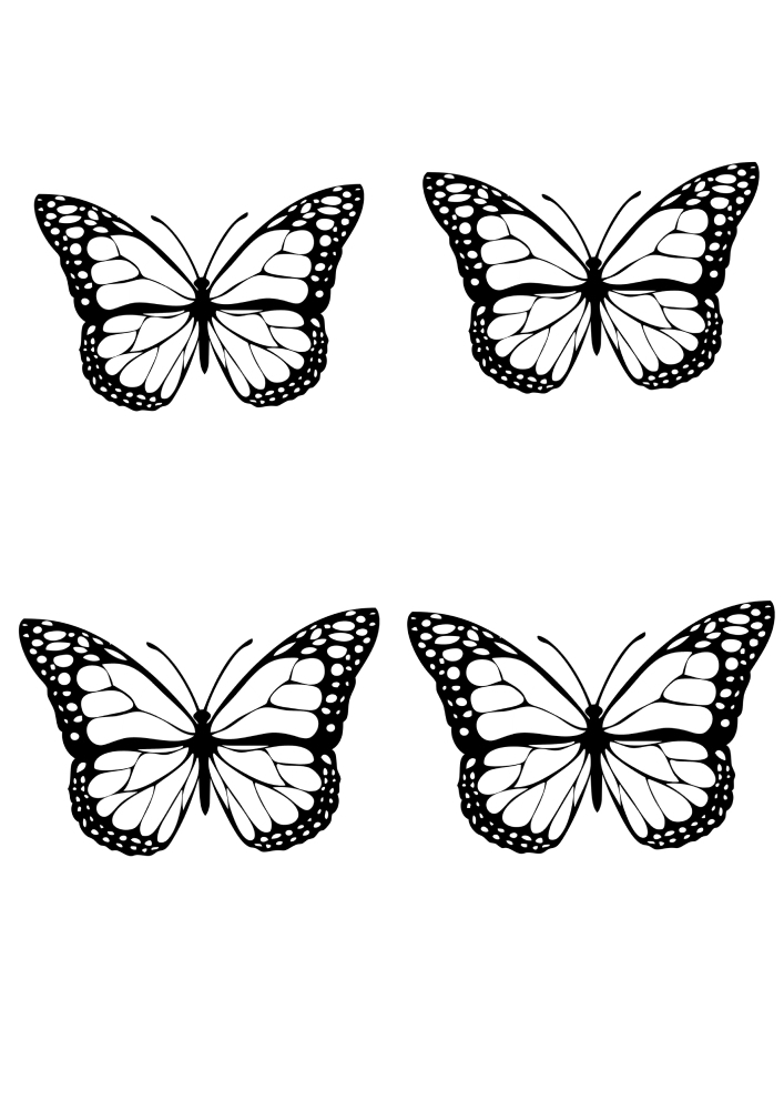 Neljä kaunista perhosta.