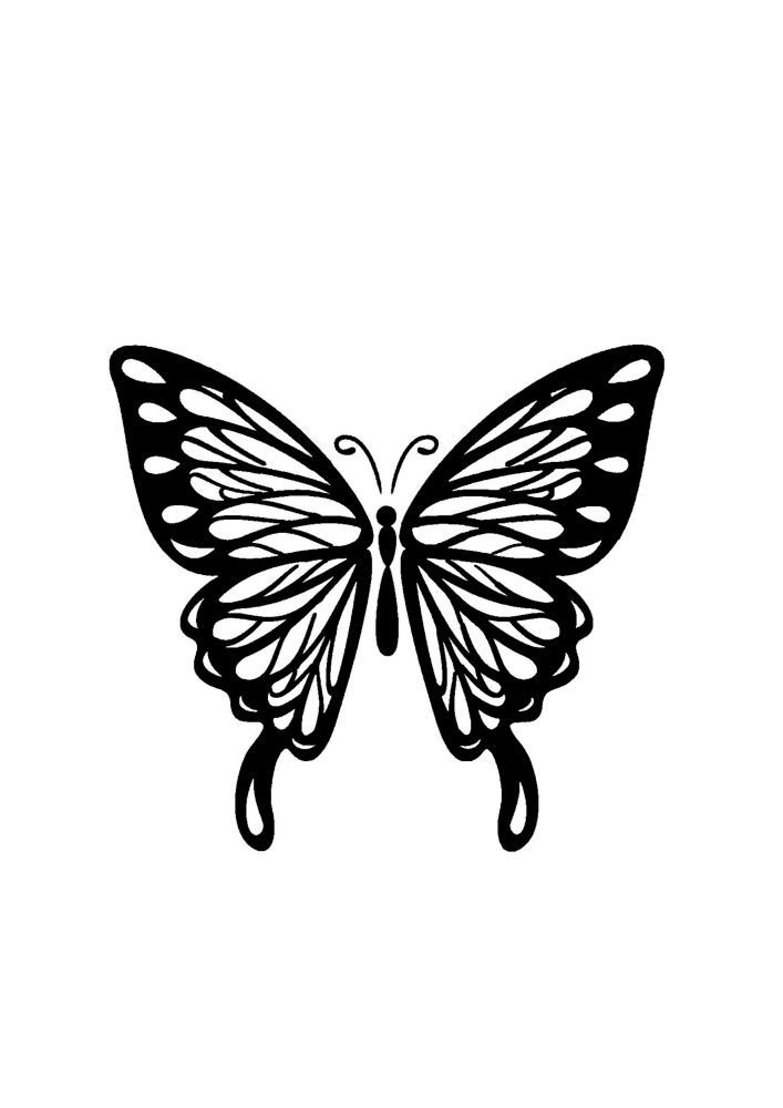 Un papillon complexe dans le dessin.