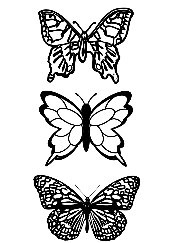 Trois papillons