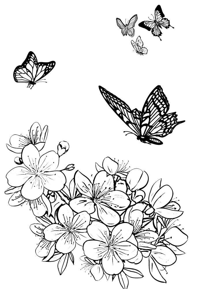 Бабочки и цветы.