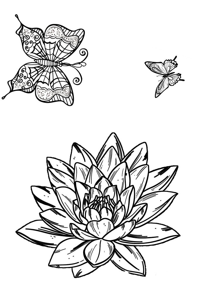Schwarz-Weiß-Bild von Schmetterlingen und Pflanzen.