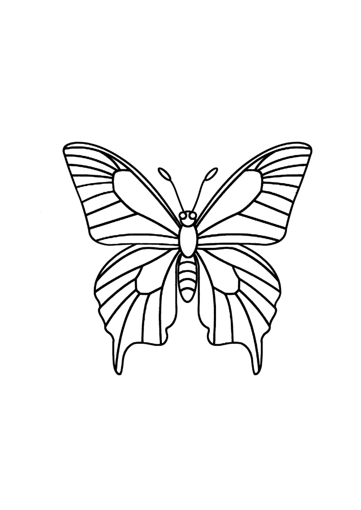 Cuatro imágenes de una mariposa: puedes decorar a todos en diferentes colores, Mostrar imaginación y creatividad.